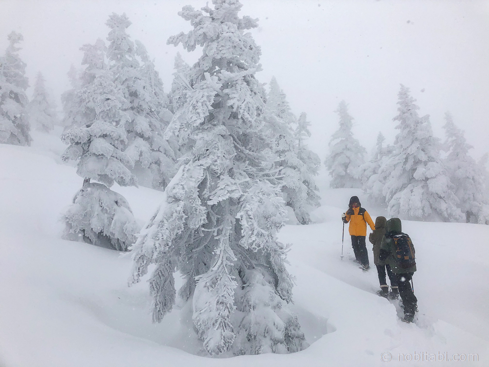 ปิศาจหิมะ แห่งจังหวัดอาคิตะ
Snow Monsters Mt.Moriyoshi
森吉の樹氷
รีวิวเที่ยวอาคิตะ