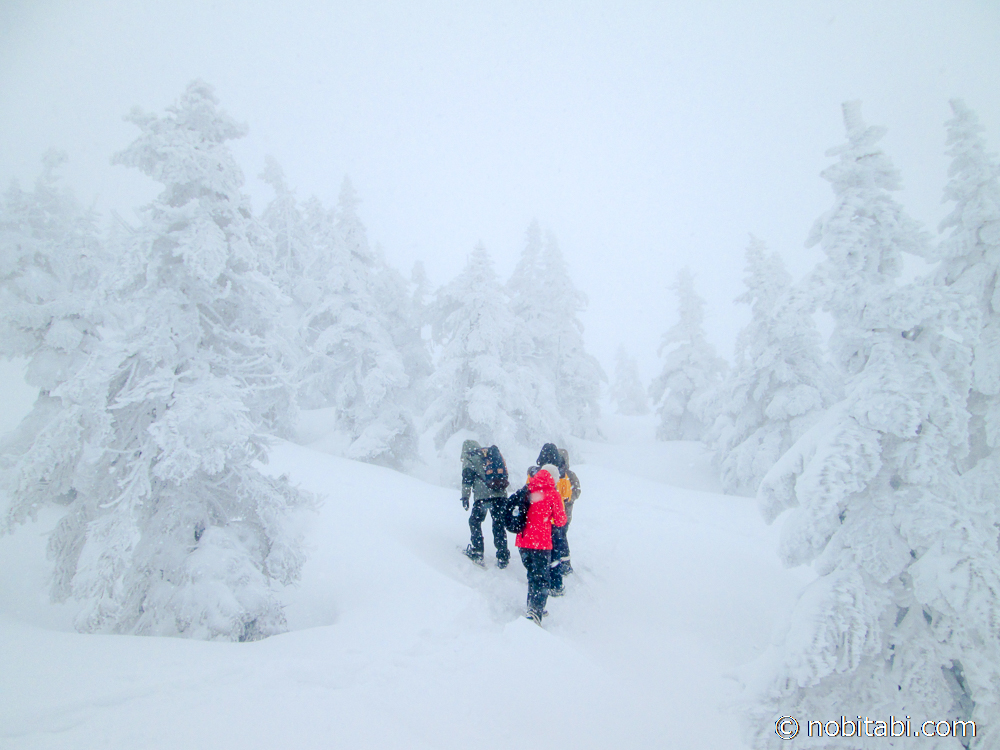 ปิศาจหิมะ แห่งจังหวัดอาคิตะ
Snow Monsters Mt.Moriyoshi
森吉の樹氷
รีวิวเที่ยวอาคิตะ