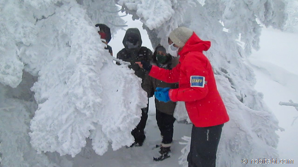 ปิศาจหิมะ แห่งจังหวัดอาคิตะ
Snow Monsters Mt.Moriyoshi
森吉の樹氷
รีวิวเที่ยวอาคิตะ