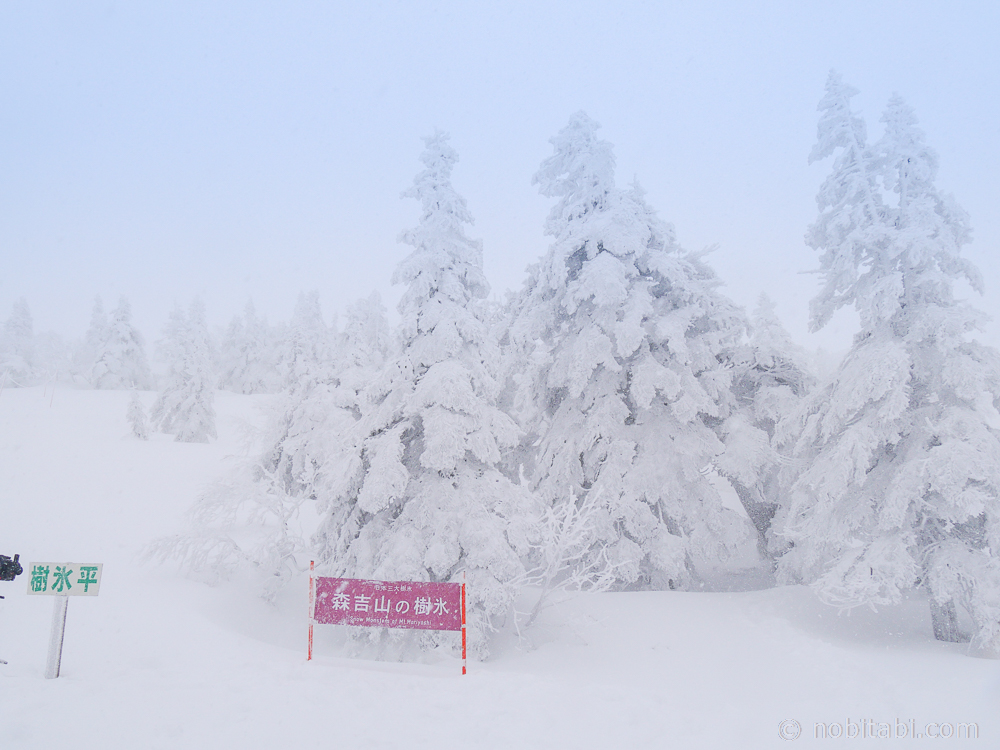 ปิศาจหิมะ แห่งจังหวัดอาคิตะ
Snow Monsters Mt.Moriyoshi
森吉の樹氷
รีวิวเที่ยวอาคิตะ